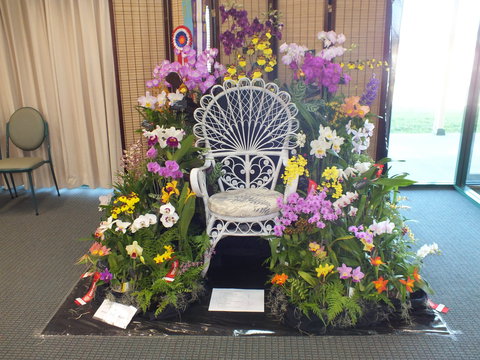 Orchids Out West - Tourism Caloundra 0