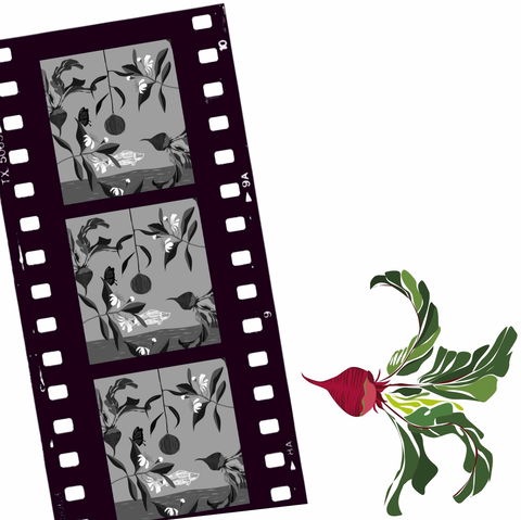 Oseanica Film Project - Tourism Caloundra 0