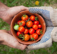 Riverina Producers Market - Tourism Caloundra