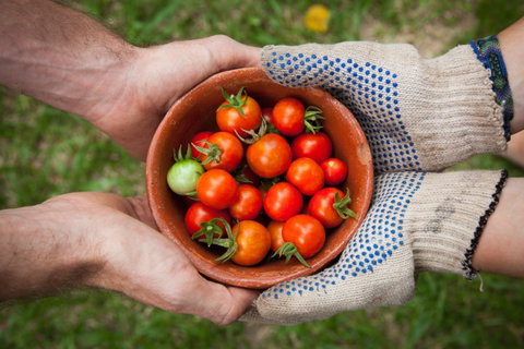 Riverina Producers Market - Tourism Caloundra 0