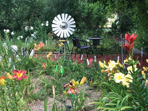 Riverina Iris Farm Open Garden And Iris Display - Tourism Caloundra 2