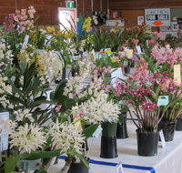 Sapphire Coast Orchid Club Spring Orchid Show - Tourism Caloundra