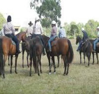 Stroud Show - Tourism Caloundra