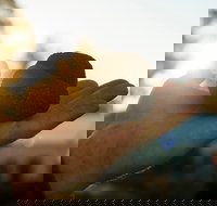 The Truffle Festival - Canberra Region - Tourism Caloundra