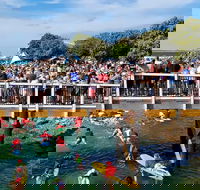 The Crescent Head Santa Surf - Tourism Caloundra
