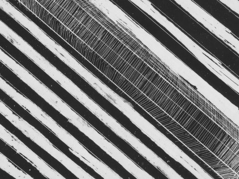 WA Now – Tom Mùller: Monolith Scores - Tourism Caloundra 0