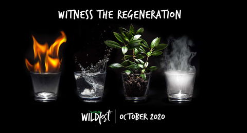 Wildfest - Annual Festival - Tourism Caloundra 0