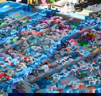 Wyee Markets - Tourism Caloundra