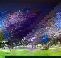 Adelaide Parklands Art Prize  Finalists Exhibition  Sale 2020 - Tourism Caloundra
