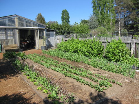 All Season Cold Climate Organic Vegetable Growing - Tourism Caloundra 1