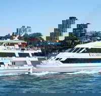 Australia Day Fireworks Dinner Cruise - Tourism Caloundra
