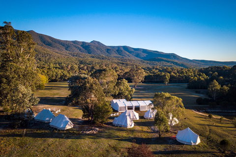 A Wild Night Out - Spring - Tourism Caloundra 5