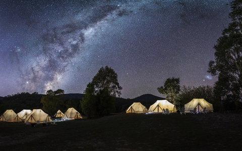 A Wild Night Out - Spring - Tourism Caloundra 6