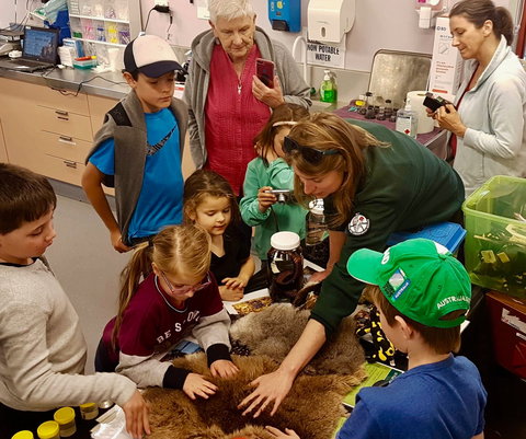 A Wild Night Out - Spring - Tourism Caloundra 7