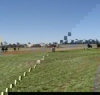 Balranald Races -Derby Day - Tourism Caloundra