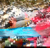 Beach House Hotel Hervey Bay 100 - Tourism Caloundra