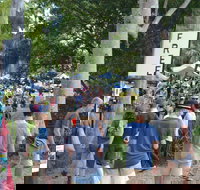 Bellingen Community Markets - Tourism Caloundra