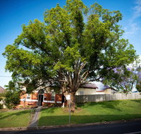 Big Bat Wildlife and Eco Festival - Tourism Caloundra