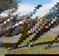 Birbbaree Show - Tourism Caloundra