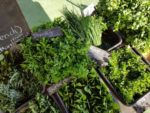 Carlton Farmers' Market - Tourism Caloundra 2