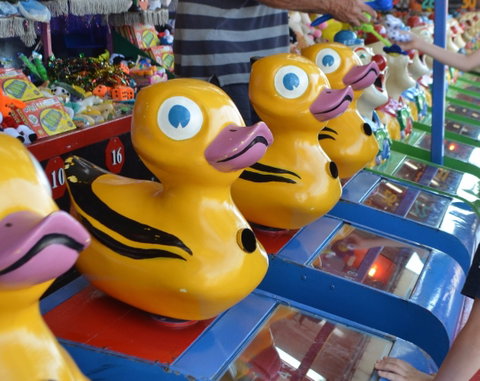 Casino Agricultural Show - Tourism Caloundra 0