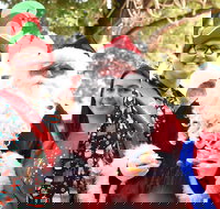 Christmas on the Plains - Quirindi - Tourism Caloundra