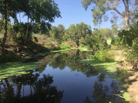 Conservation Volunteers Australia Townsville - Creekwatch - Tourism Caloundra 0