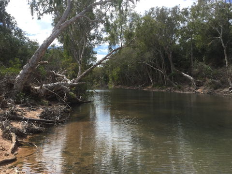 Conservation Volunteers Australia Townsville - Creekwatch - Tourism Caloundra 2