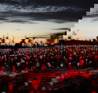 Field of Light Uluru - Tourism Caloundra