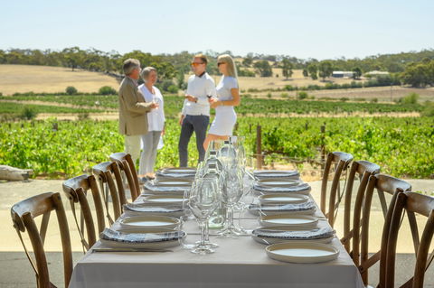Four Seasons In The Armagh Vineyard - Tourism Caloundra 5