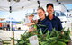 Greater Whitsunday Farmers Markets - thumb 0