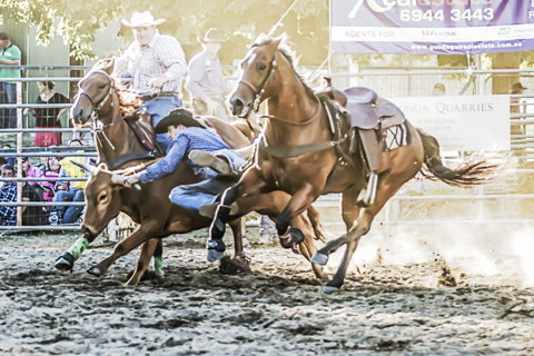 Gundagai Rodeo - Tourism Caloundra 0