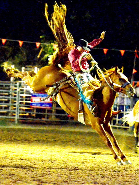 Gundagai Rodeo - Tourism Caloundra 1