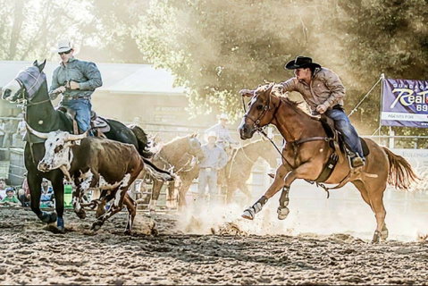 Gundagai Rodeo - Tourism Caloundra 2