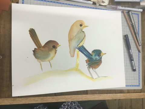 Ink & Watercolour Wash Illustration Workshop - Tourism Caloundra 0