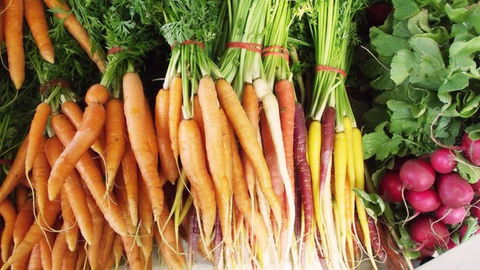 Joondalup Growers Market - Tourism Caloundra 0