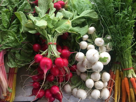 Joondalup Growers Market - Tourism Caloundra 1