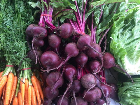Joondalup Growers Market - Tourism Caloundra 2