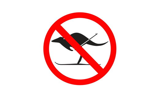 Kangaroo Hoppet - Tourism Caloundra 0