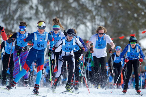 Kangaroo Hoppet - Tourism Caloundra 2