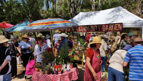 Karragarra Sea Market Festival - Tourism Caloundra 0