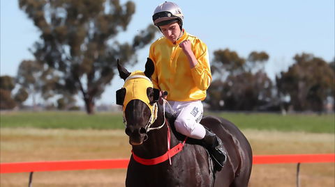 Lockhart Picnic Races - Tourism Caloundra 1