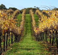 Miners Ridge Wine Tasting - Tourism Caloundra
