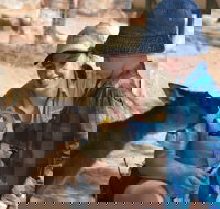 Mums and Cubs And Dads too - Tourism Caloundra