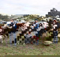 Noorat Show - Tourism Caloundra