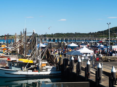 Ocean Harvest Festival - Tourism Caloundra 0