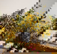 Pomonal Native Flower Show - Tourism Caloundra