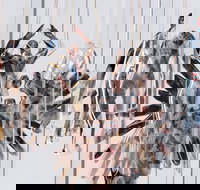 Pulse Perspectives - Virtual Exhibition - Tourism Caloundra