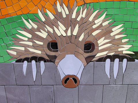 SALA 2020 - Colour Our World - Tourism Caloundra 0