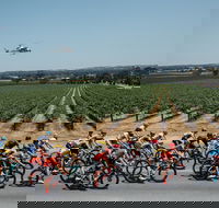 Santos Tour Down Under - Tourism Caloundra